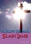 A Flow From A Slain Lamb - 4 Message Audio Series